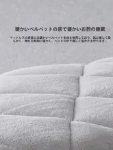LUOLAI 敷き布団 マットレス 抗菌 厚手 畳用 一人暮らし 寮 賃貸