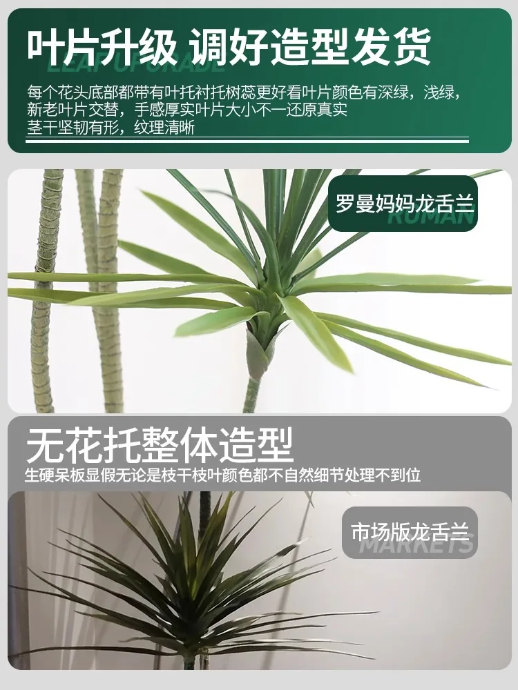 フル活用した節約生活で見落としやすいグリーンの選び方・完全ガイド