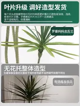フェイクプラント 室内用 リビング グリーン プレステージスタイル