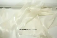 透け感が魅力的な欧根ファブリックの上衣ワンピース【浅いベージュ・光沢感】