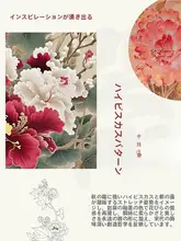 高級 芙蓉花デザインの茶具【汝窯風・ギフト向け・女性用】（セットアップ対応）