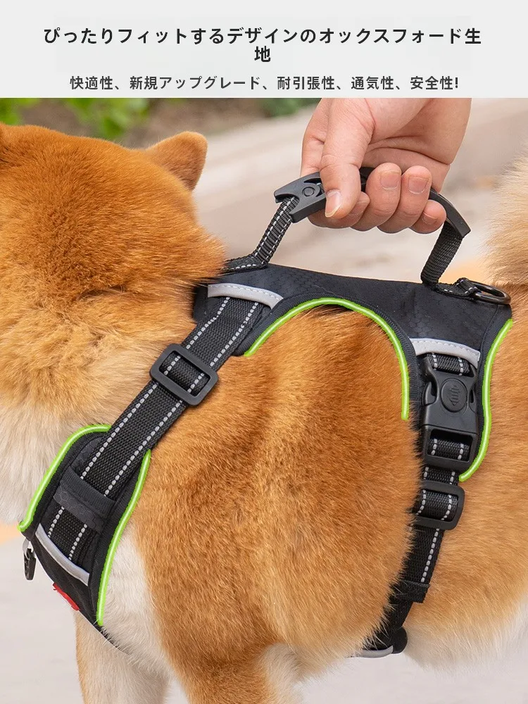 犬のお散歩グッズをコスパ良く揃える方法　完全ガイド