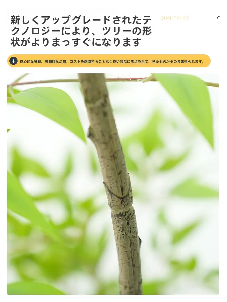 韓国インテリアを再現｜カフェ風部屋の作り方　南天竹の配置術とリアル感の秘訣