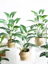 リアルな小さな観葉植物 ツルビニ 鉢植え【インテリア装飾用・デスクやリビングに最適】
