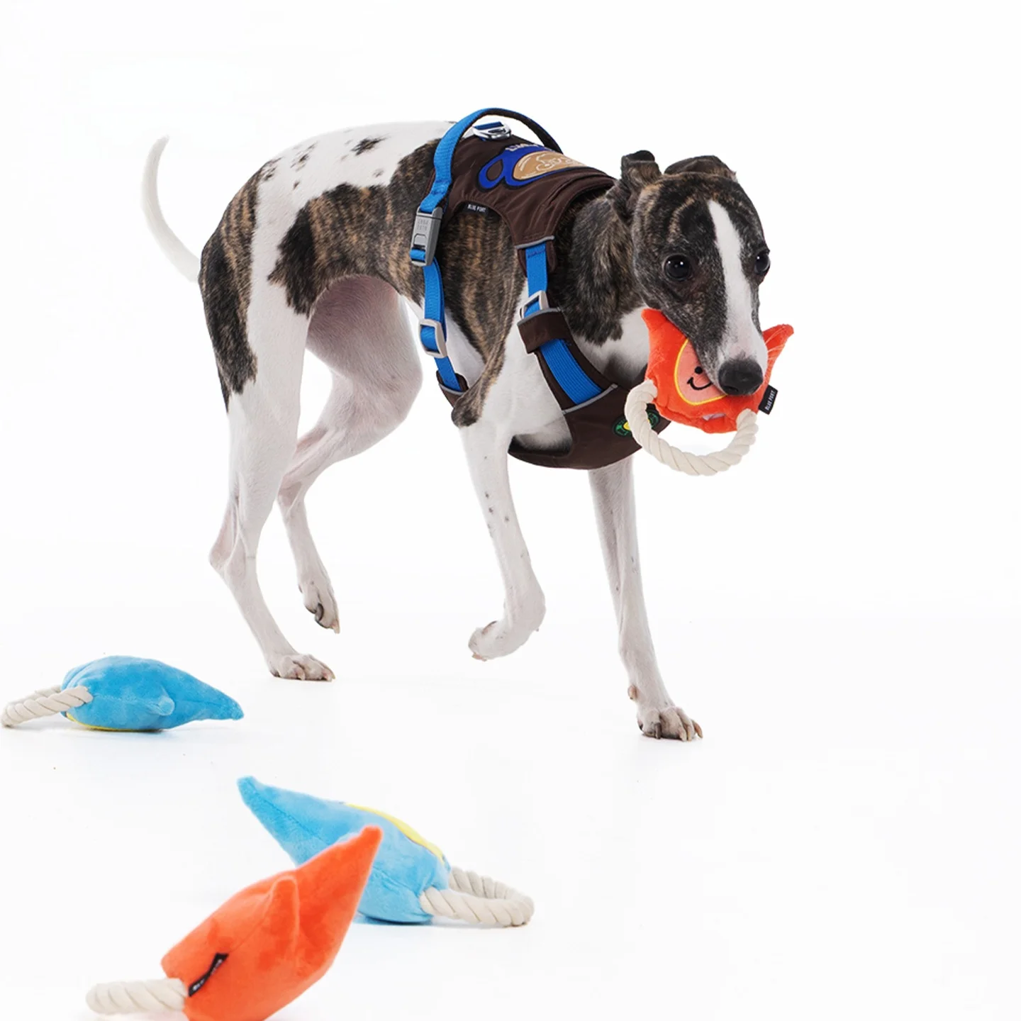 インタラクティブ犬用ロープおもちゃ：発声機能と耐噛みで室内飼育に最適なトレーニングツール