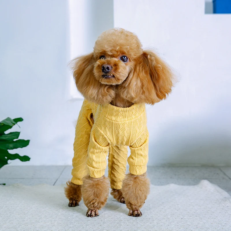 小型犬用四足パンツ・長袖セットアップ テディベアスタイルで秋冬を快適に