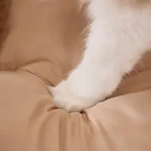 猫用ベッド【四季対応・立体デザイン・大きめ・安心感】