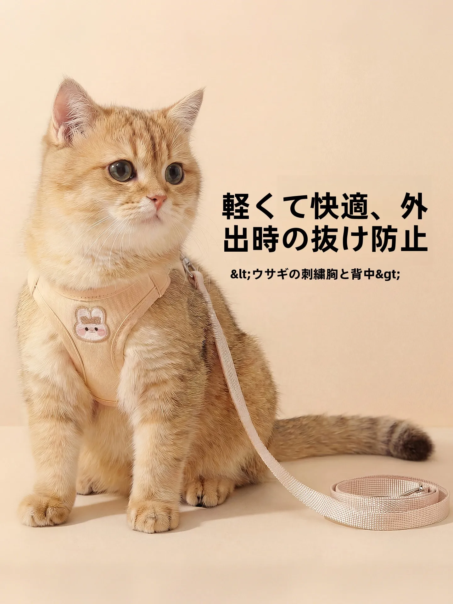猫 可愛い グッズ おすすめ 3選：暮らしに溶け込む、心を癒す猫の可愛いアイテムとは？