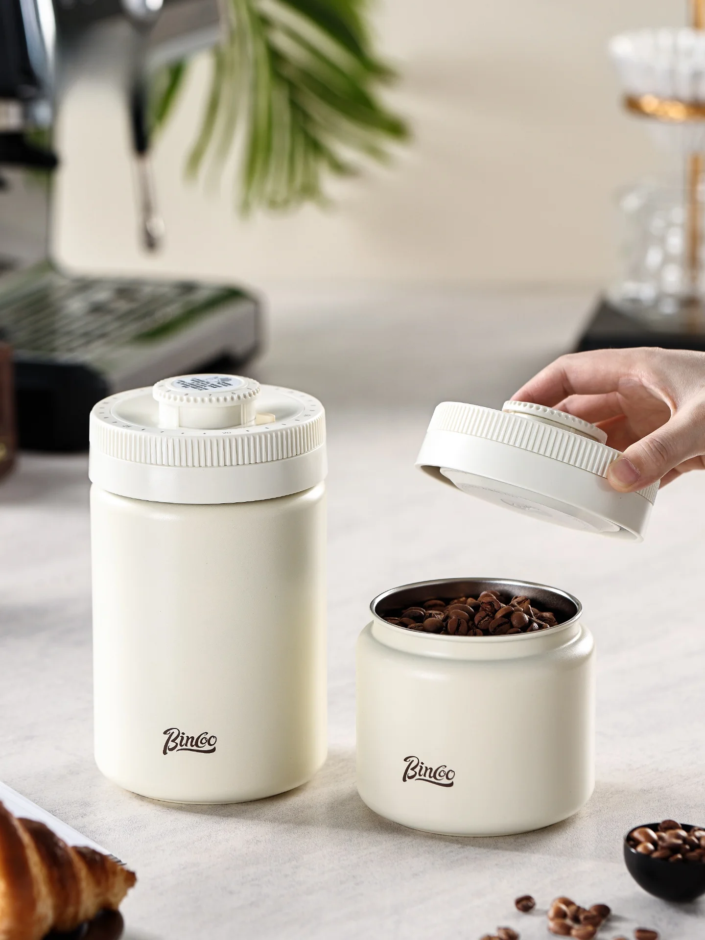 コーヒー豆を香りが逃げないで保つには？密閉容器の選び方を徹底解説