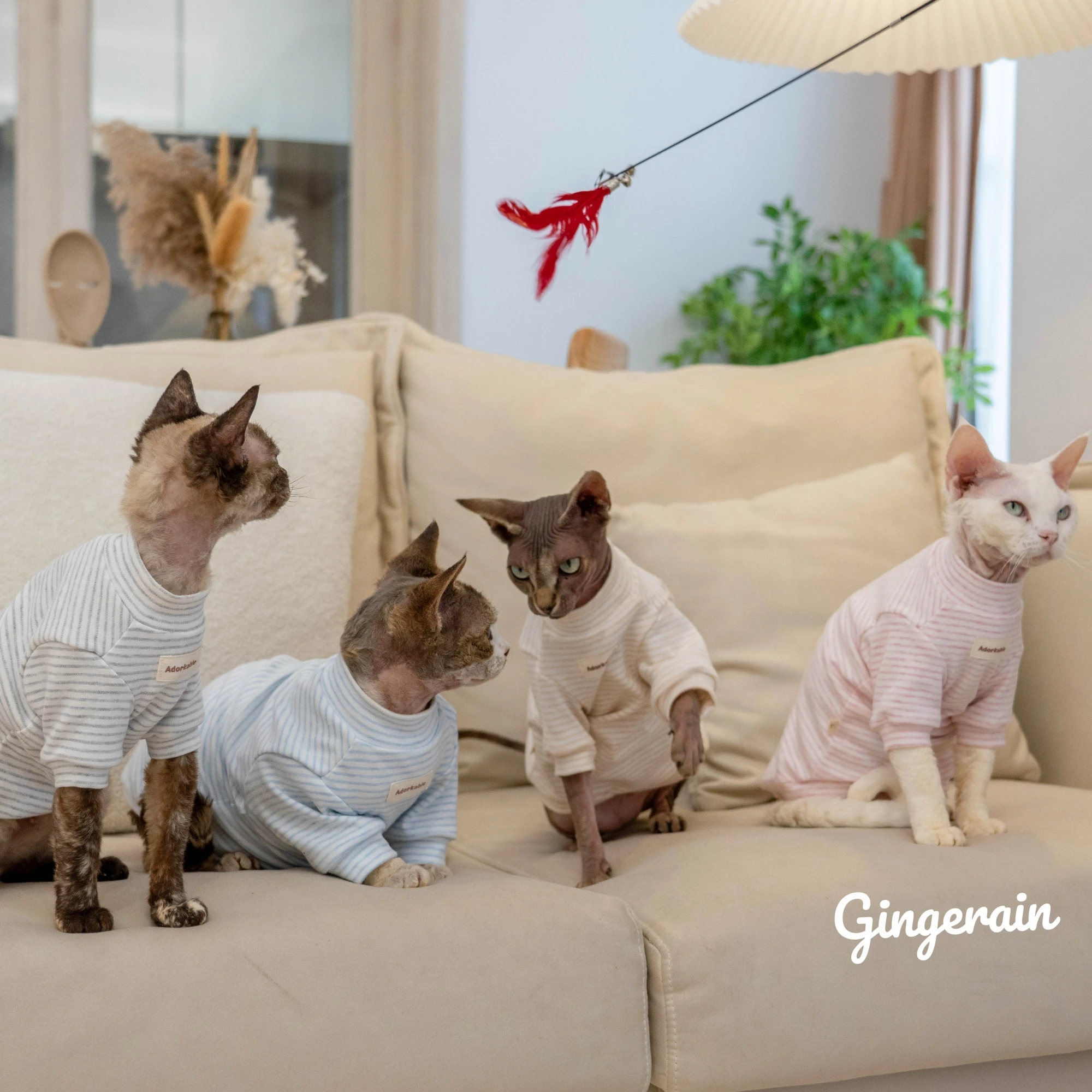 GINGERAIN オーガニックコットン ベビーロンパース：無毛猫向けの長袖カラフルタイプの機能性と使い勝手