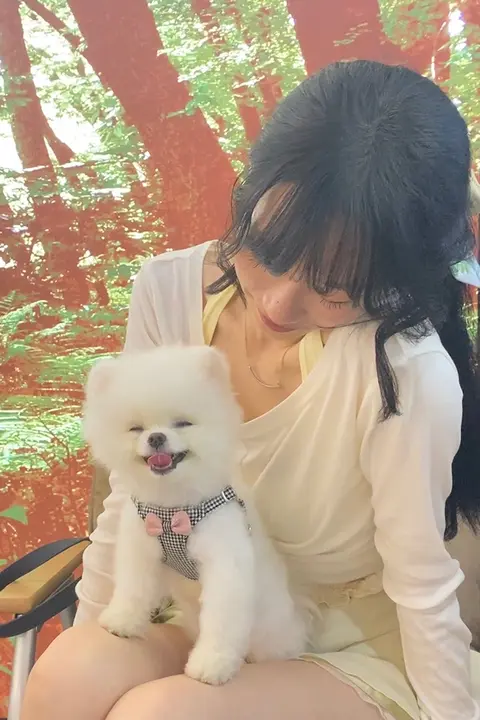 小型犬用調整可能なハーネス型リード【テディベア用・かわいいペット用品】
