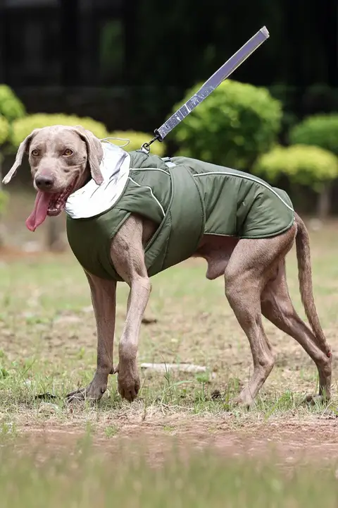 冬用ペット犬用防水暖かいコート【厚手・アウトドア用】