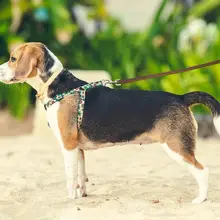 レトロなマーブルレザー製ハンドメイドペットリード【本革・犬用・引き紐】