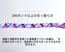 犬用ハーネス付きリード【胸式・大中小型犬用・外出用】