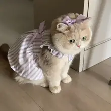猫用 夏用 プリンセススタイル 薄手ドレス【毛が抜けにくい・ブルー・ホワイト・金色グラデーション・紫】