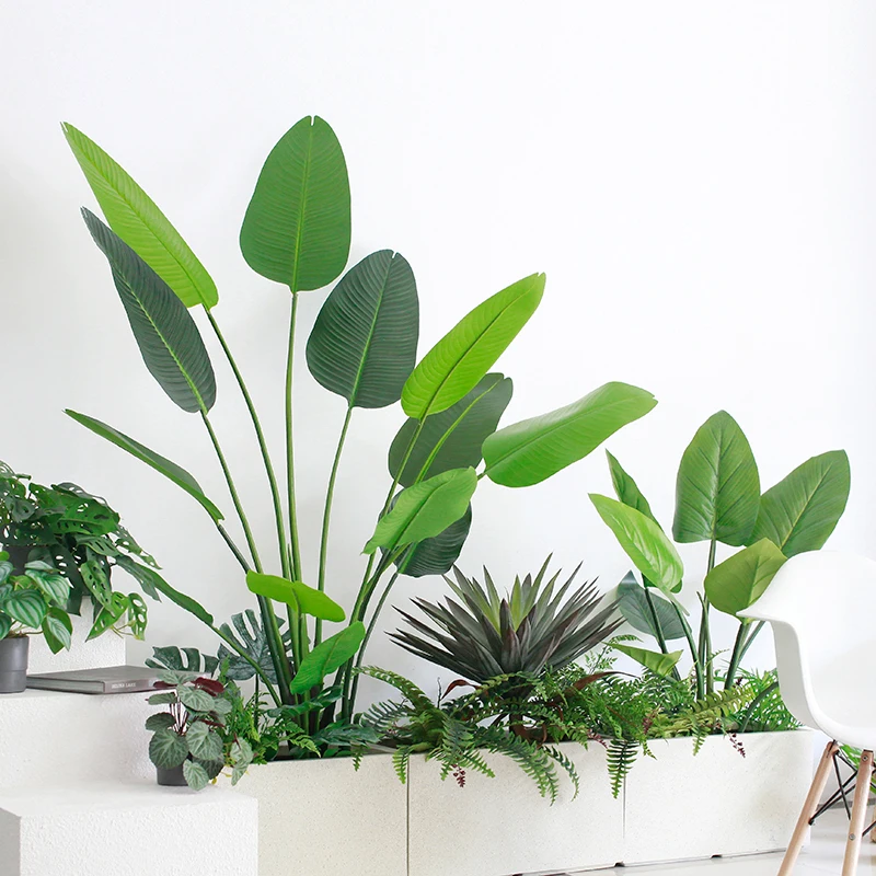 大きな観葉植物 バナナツリー：インテリアに最適な3Dデザインと高さの選定ガイド