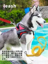 おしゃれなマカロンカラーの犬用リード【PVC製・防水・防汚】