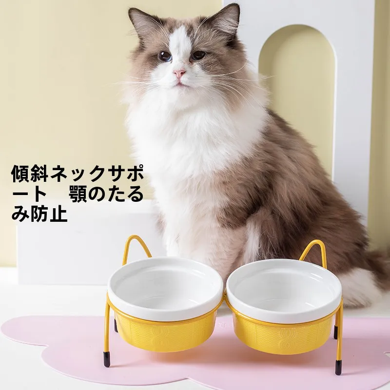 猫の食器選びで迷うなら、この「高脚傾斜口タイプ」が救う理由は？