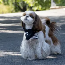 ペット用マフラー【犬・猫用・ファッション小物】