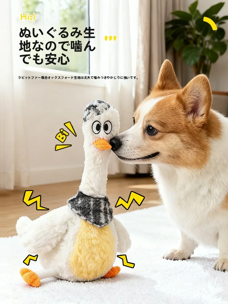 犬用玩具【毛布製・おしゃべり・歯磨き効果あり】の選び方と実際の使用シーン