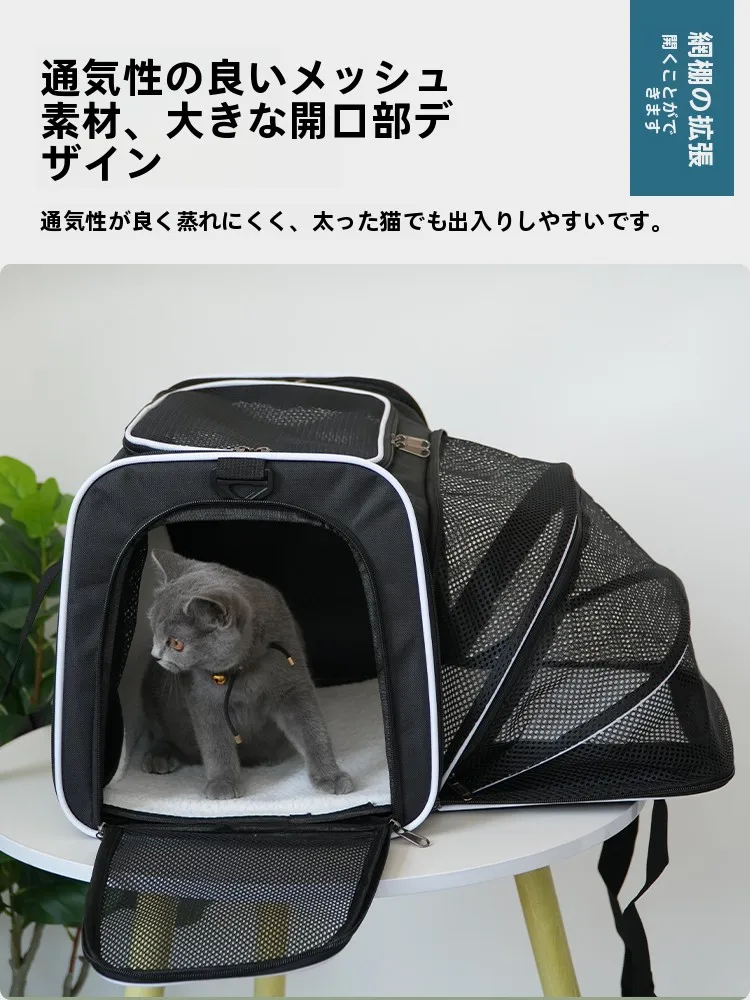 犬と旅行をもっと楽しくするための「通気性キャリーバッグ」は、どう選ぶ？