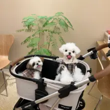 英国風 厚手ペットシープボアベスト【保温・猫・犬・マルチーズ用】