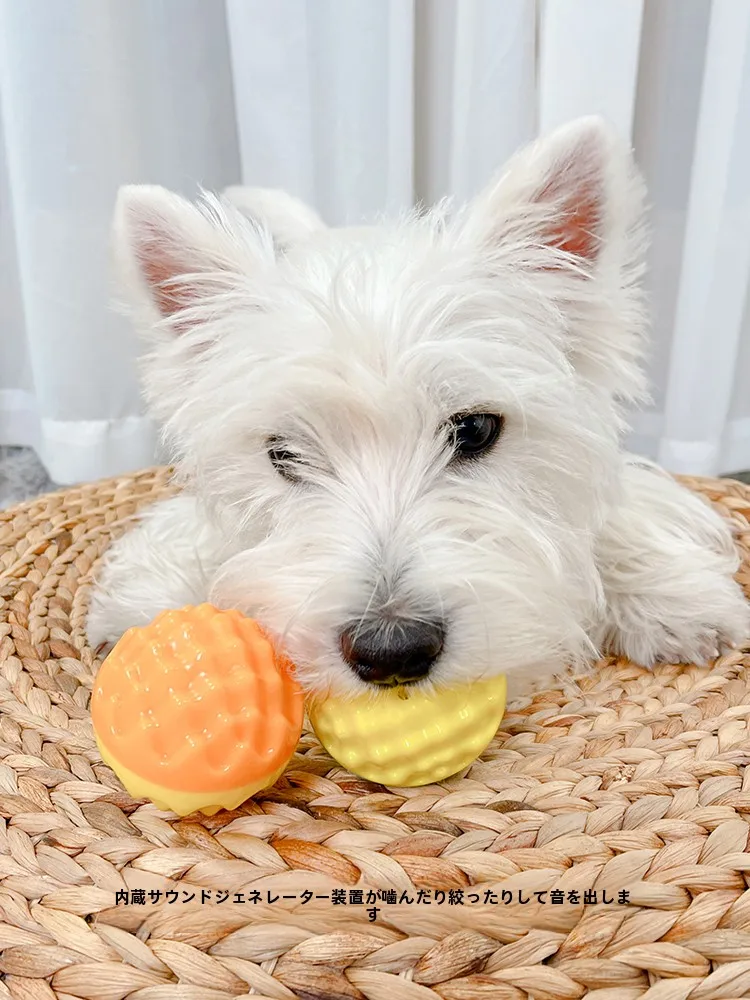 犬用フリスビーをどう選ぶ？音声機能付きの「溶岩サウンドボール」がなぜ今人気なのか