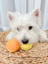 犬用ボールおもちゃ【音声機能付き・噛むのに耐える・幼犬用・発散】