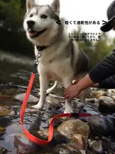 防水ゴム製 犬用リード【1段式・トレーニング用・長さ調整可能】