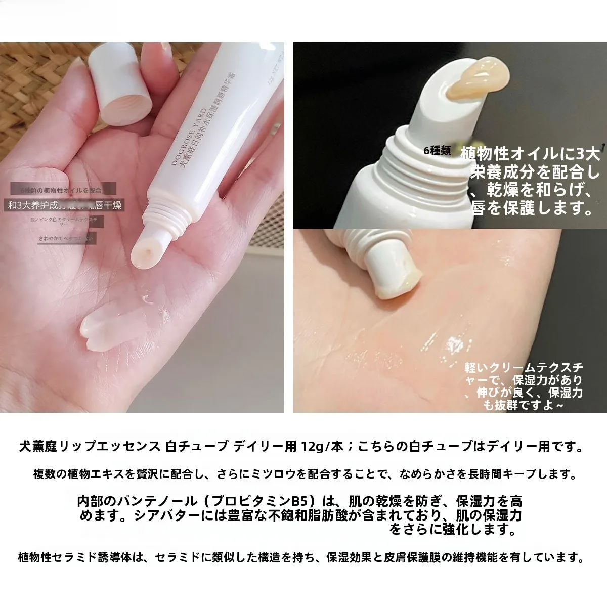 ドルガバ リップ 公式が本当に効くの？実際の使い心地と選び方を徹底解説