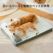 洗える夏用ペットマット【犬・猫兼用・通年使用可】