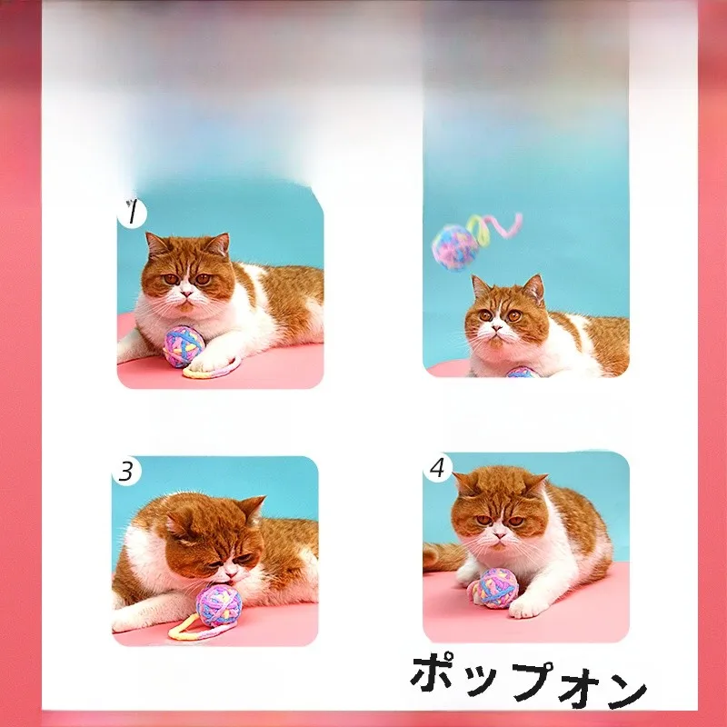 一人暮らしの猫にぴったり？手作りで作れる「噛みごたえのある遊び道具」は本当に必要なの？