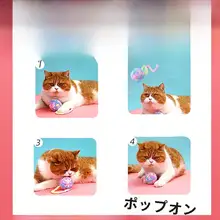 猫のおもちゃ 歯磨き用 毛布 ボール型 耐久性がある 噛みごたえ