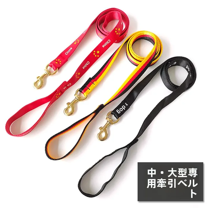 中型犬・大型犬用リード付き首輪：耐久性と散歩コストパフォーマンスの最適化