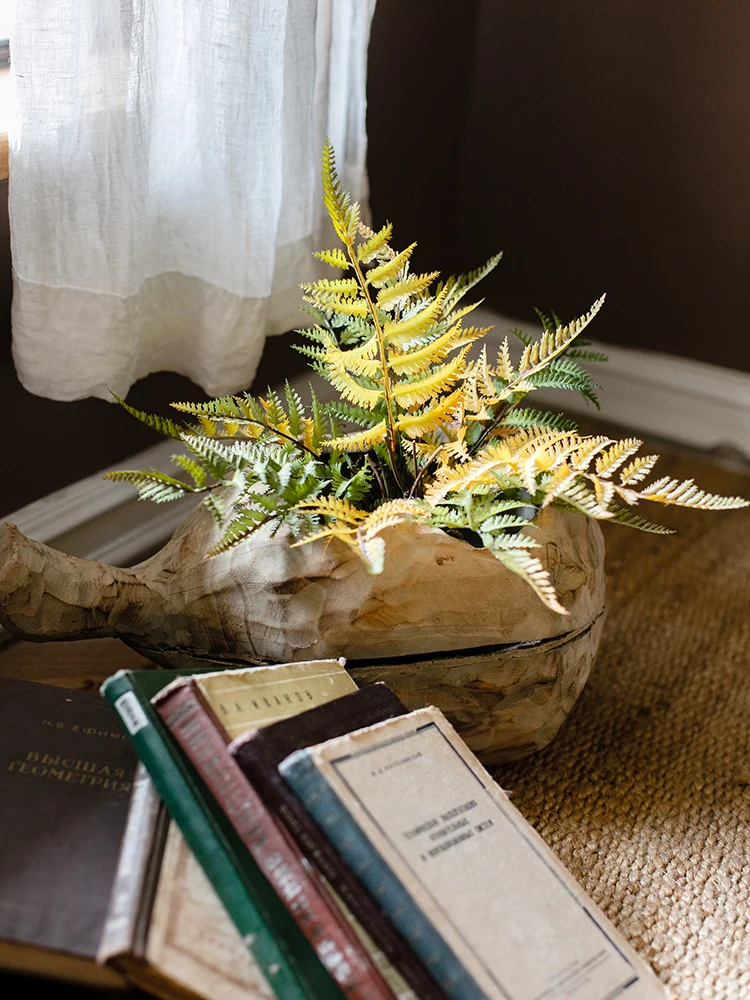 ハエトリグサを模したシダ吊り球植物：日陰でも育つ屋外装飾品の実用性と特性