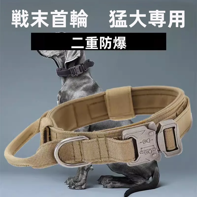 犬のお散歩グッズをコスパ良く揃える方法　戦術的首輪の選び方徹底解説