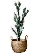 サボテン 装飾品 インテリアデコレーション 擬似植物 アートスタイル ソフトトゲ