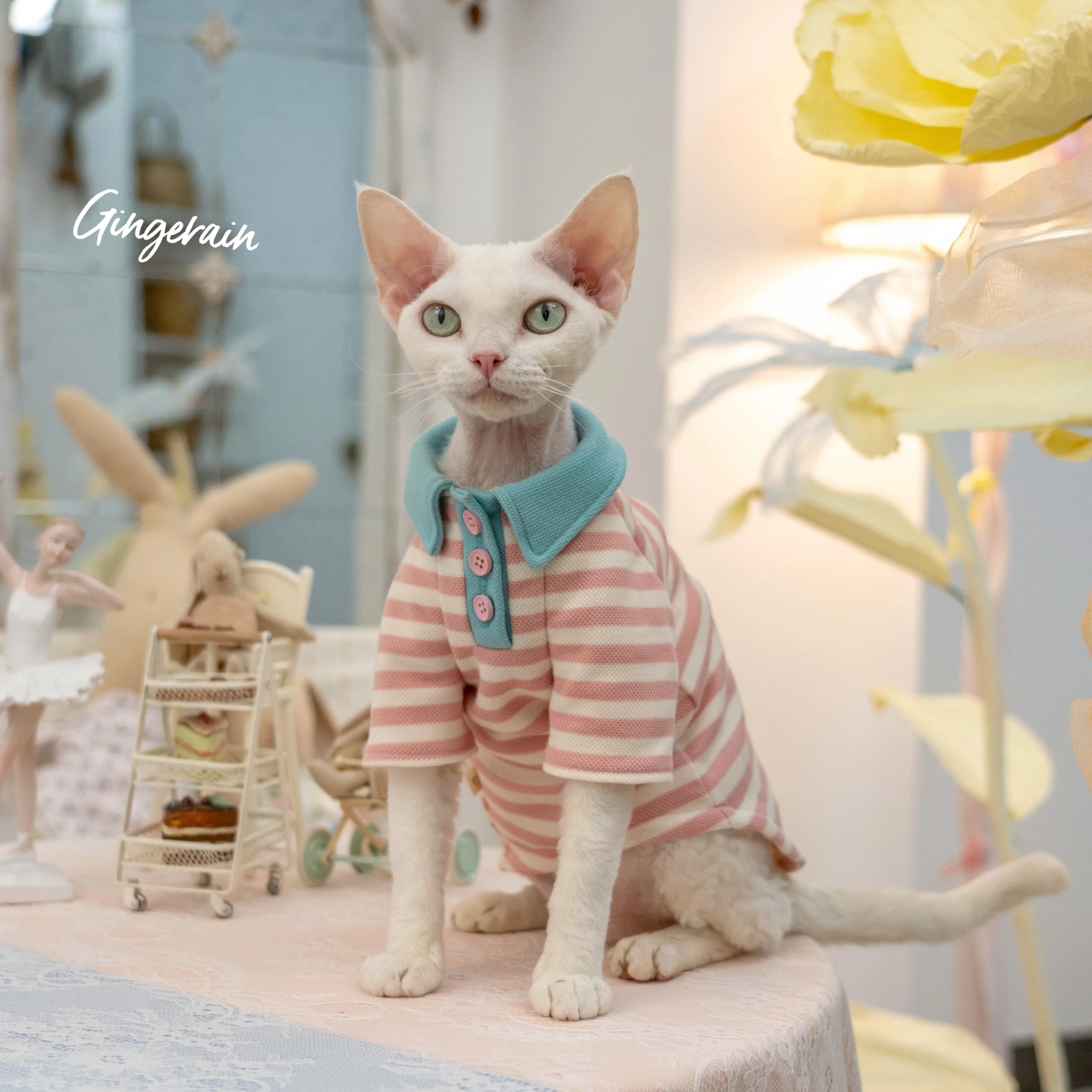 梅雨に備えて買うべき！完全ガイド：スープボウルと猫用シャツの選び方