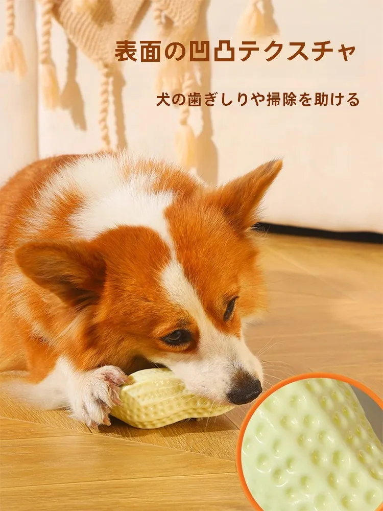 犬用おもちゃリアルな大花生：ケージ飼い犬の体力消耗と歯磨きに最適なアイテム