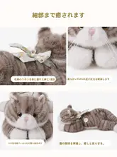 愛らしい狸猫デザインの毛並みのぬいぐるみ【子供の誕生日プレゼントに最適】