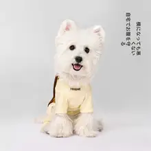 秋冬用 犬用パジャマ【純綿・お腹保護デザイン・小型犬用・テディベア風】