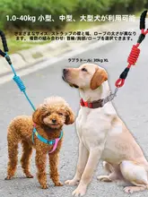ペット用 ハーネス付きリード【小型犬・中型犬・大型犬対応・金毛・テディベアタイプ】
