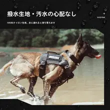 大型犬用 ハーネス付きリード【胸部サポート・耐久性・調整可能】