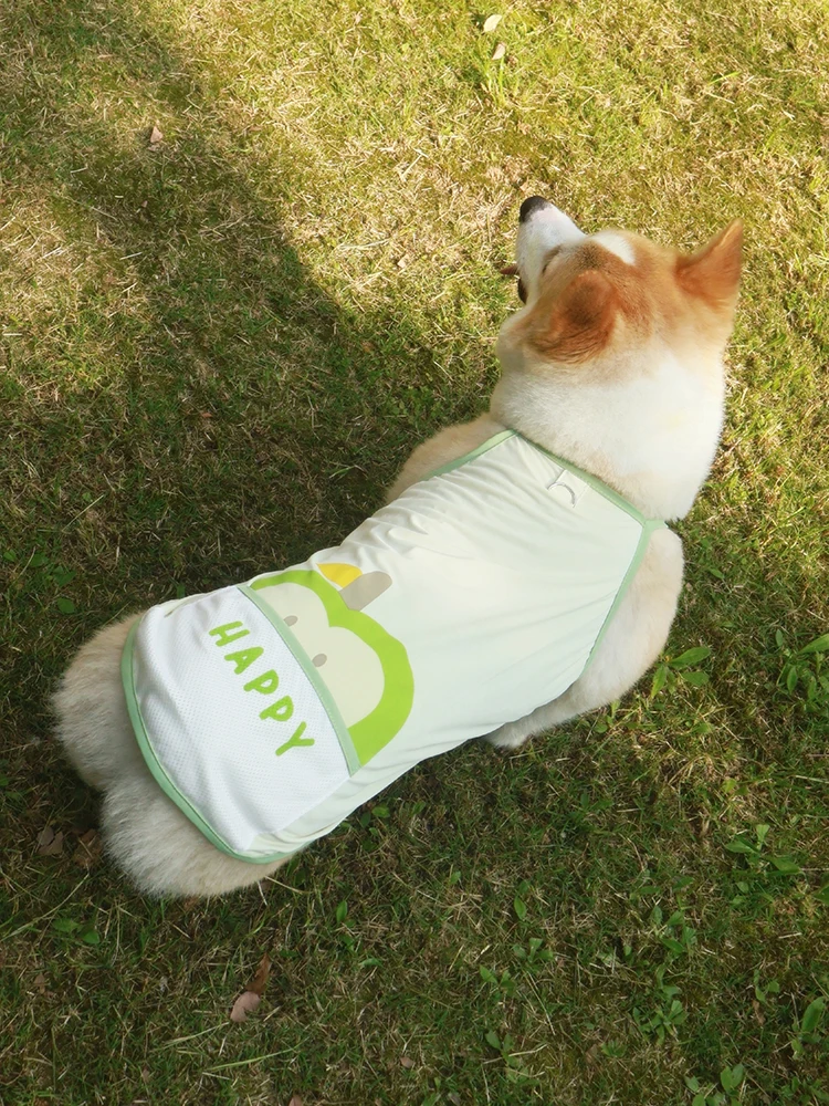 犬用冷却ベスト：春夏散歩時の紫外線対策と抜け毛防止が実現