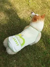 犬用冷却ベスト【春夏用・柴犬・コーギー・抜け毛防止・紫外線対策】（セットアップ対応）