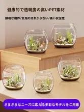 エコ水槽 小型 リビング デスク アクリル プラスチック 丸型 耐衝撃