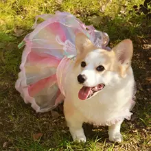 犬用プリンセスドレス【コーギー・柴犬・テディベア風・透け感あるメッシュ・UVカット・通気性】
