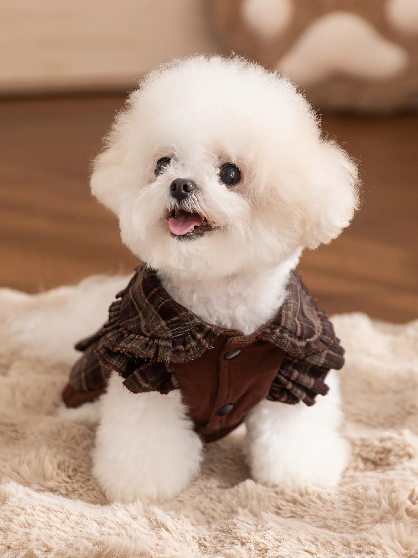 豆柴室内飼育に最適な秋冬犬服｜hipidogロミブラウン格子デザイン