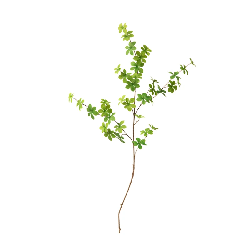 見つけたデイリー雑貨まとめ 北欧風吊り鐘植物の使い方と選び方完全ガイド