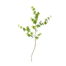 吊り鐘植物 1本 フラワーインテリア デスクトップ装飾 北欧スタイル
